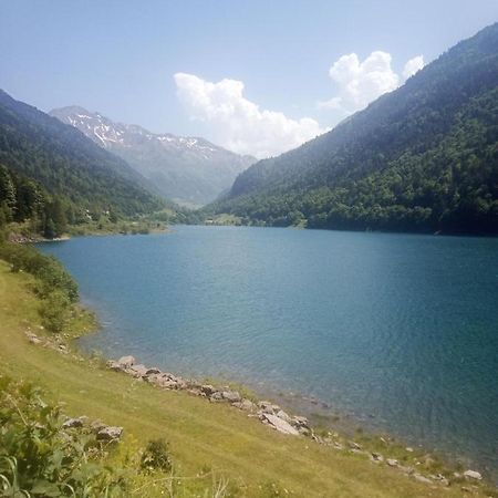 Afrique Appartement De 42M2 A La Montagne Eaux-Bonnes Zewnętrze zdjęcie