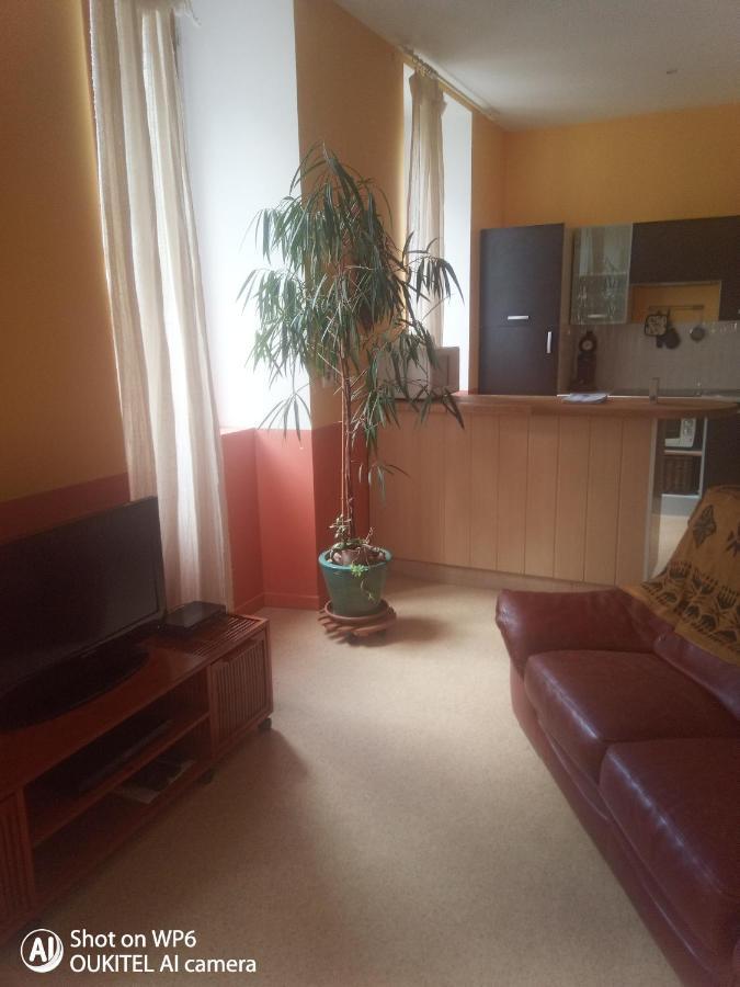 Afrique Appartement De 42M2 A La Montagne Eaux-Bonnes Zewnętrze zdjęcie